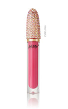 lip plumper gloss  brillo de labios